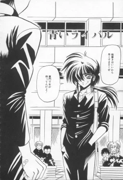 Page 39 of Shangrila