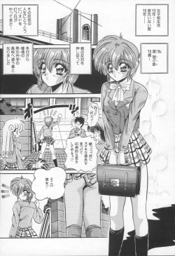 Page 56 of Shangrila