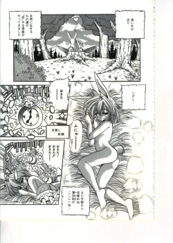 Page 19 of Fairy Paradise