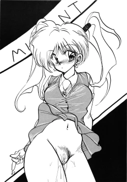 Page 21 of MINT vs KISEIJU