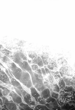 Page 14 of 鮫～VIRGIN BITE