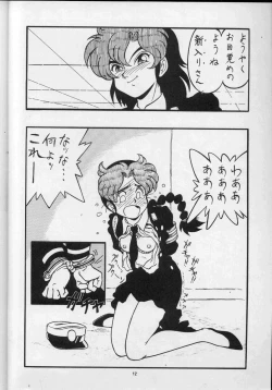 Page 12 of MAKO ALPS KEIL II