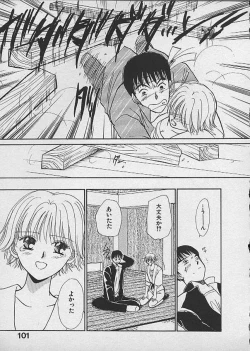 Page 101 of HANA-BIRA