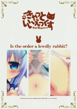 Page 22 of Gochuumon wa Usamimi Ecchi desu ka?