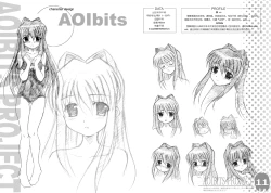 Page 7 of AOIBITS PROJECT