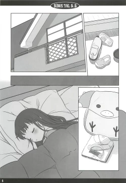 Page 4 of BIBON Vol. 5.5