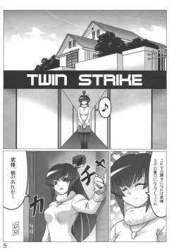 Page 5 of TWIN STRIKE