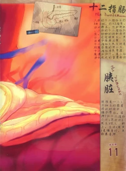 Page 4 of 器官姬3