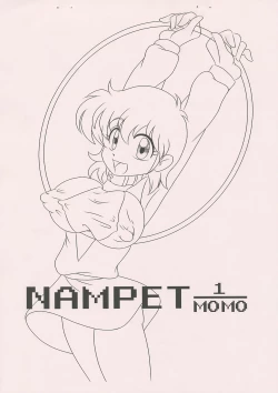 Page 1 of NAMPET 1/MOMO