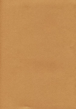 Page 2 of Caffe' latte