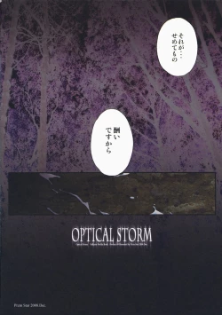 Page 12 of Optical Storm