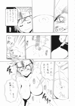 Page 21 of MonHun Giga