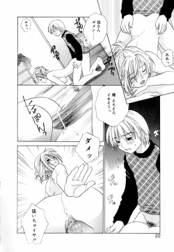 Page 20 of Mix Ponch