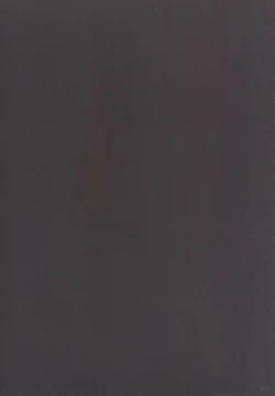 Page 4 of Momoiro Senjutsu