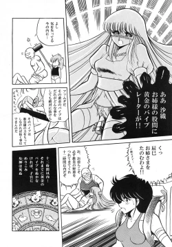 Page 10 of Saint Seiko Kanzenban