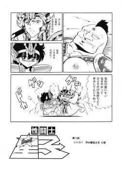 Page 39 of Saint Seiko Kanzenban