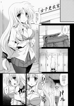 Page 4 of FateHosyuu-