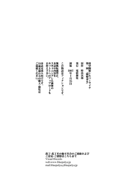 Page 30 of SILVER RAINA The Guardian of Photon 01