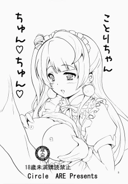 Page 2 of Kotori-chan Chun Chun