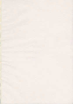 Page 2 of Ginsunago no Pinball!