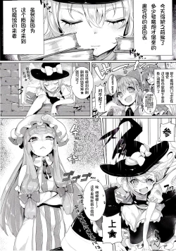 Page 5 of Soredemo Marisa ga suki