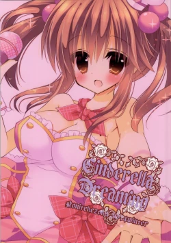 Page 20 of Cinderella Dreaming