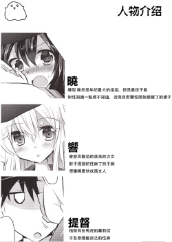 Page 4 of HibiAka Maintenance