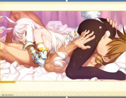 Page 208 of Eiyuu＊Senki GOLD Visual Fanbook