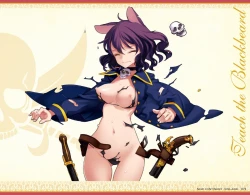 Page 73 of Eiyuu＊Senki GOLD Visual Fanbook