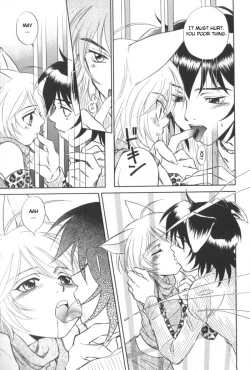 Page 5 of Petshop Boys