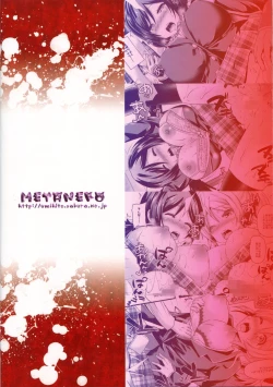 Page 24 of SUBSTITUTE 2