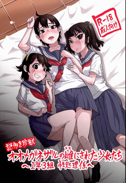 [Seiryuu (Seiryuu)] Nazo ooki Chin-jyu Oo megane Zaru no mesu ni sareta syoujo tachi ~1 nen 3 kumi sei syori kakarii~
