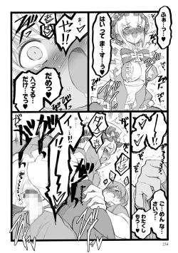 Page 234 of ERO Figure Jou