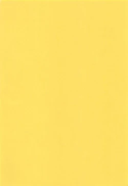 Page 4 of Hikari no Jikenbo