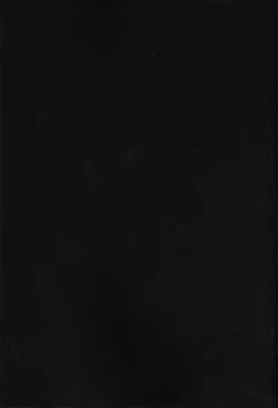 Page 3 of Kyouki Ningen