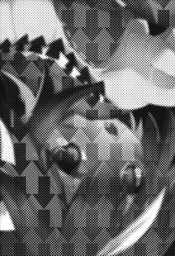 Page 5 of Kyouki Ningen