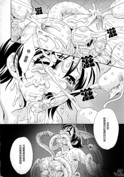 Page 17 of In Sangoku Musou Rikuson Gaiden