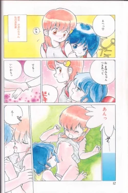 Page 11 of Shinkaida Tetsuyarou Daihyakka