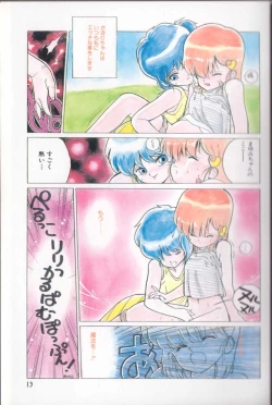 Page 12 of Shinkaida Tetsuyarou Daihyakka