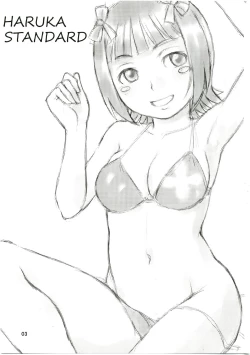 Page 3 of HARUKA STANDARD