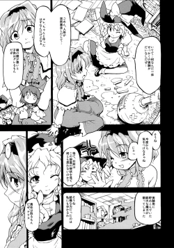 Page 11 of Touhou Ukiyo Emaki Sairokushuu