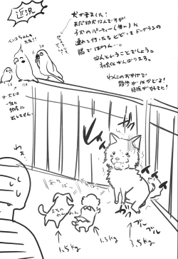 Page 25 of Match Uri no Otokonoko to Kime-seku! | Let's Drug and Fuck the Little Match Trap!