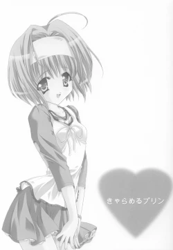 Page 2 of Caramel Purin