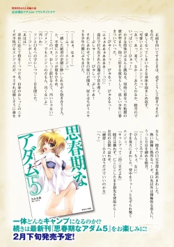 Page 29 of Shishunki na Adam Choi Netabare Guidebook