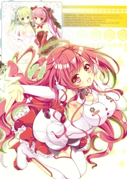 Page 13 of TROPICANA