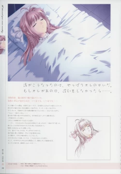 Page 29 of Kimi Ga Nozomu Eien - Memorial Artbook
