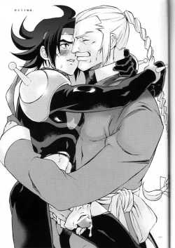 Page 17 of GG Meiki Reimei.