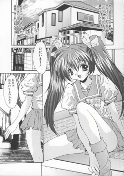 Page 27 of Shakkin Nikudorei