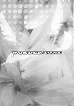 Page 2 of WONDER ZONE