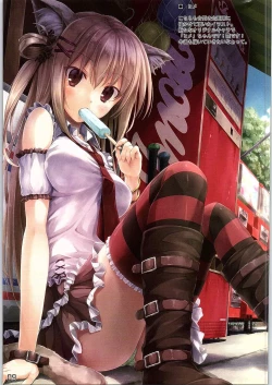 Page 8 of WALNUT 78 5th